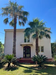 Apartments-Villa Ilaria - Živogošće - 2