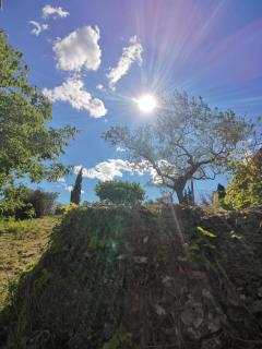 Les Citronniers - Saint-Montan - 4