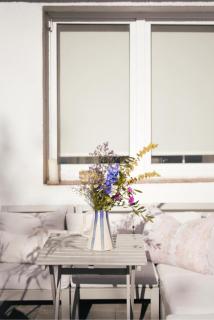 Prostorný byt u centra Zlína s atmosférou venkova - 1