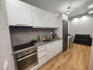 Starlight Downtown Apartment - Tirana - 4