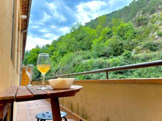 El Balcó del Freser - Apartament de muntanya - 9