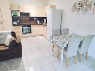 Appartement proche mer et montagnes du Pays-Basque - Ahetze - 9