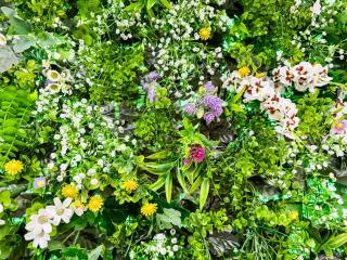 Nicuzza Holiday Home - 5