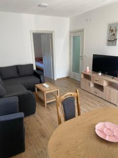 Apartman Krstić - Soko Banja - 3