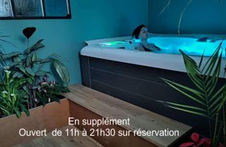 Les Treilles de Salies - Spa et sauna intérieur - Salies-de-Béarn - 3
