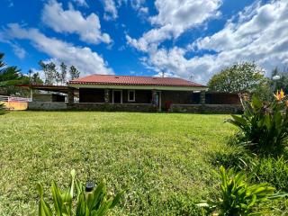 Casa do Pinhal - 8