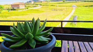 Camino a las Sopeñas - 5