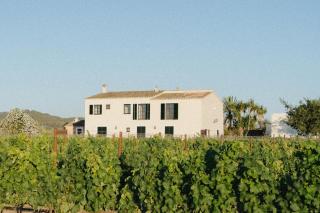 Vino Resort Son Amaret - 6