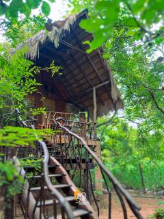 Habarana Tree House Ambasewana Resort - 6