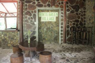 Rinte Green Village & Bukit Lawang Jungle Trekking - Bukit Lawang - 7
