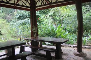 Rinte Green Village & Bukit Lawang Jungle Trekking - Bukit Lawang - 6