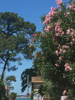 Appartement T2 Les papillons - Arcachon - 5