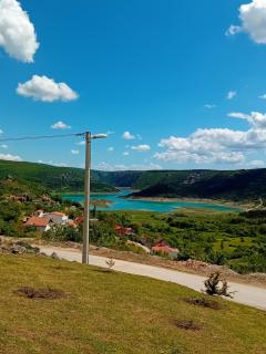 Rosa - Ričice - 0