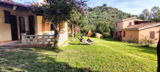 Bouganville - Costa Rei - 8
