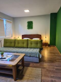 Veljanov Apartment 1 - 0