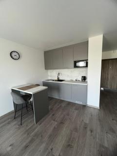 Spacious, cozy place in Vilnius - Vilnius - 1