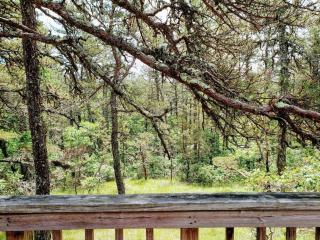Nature Lover's Nest - 3