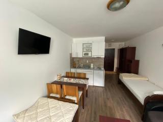 Bele Staze 3a Kopaonik, Brzece - 8