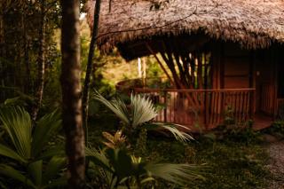 Bosque Guardian Lodge - Tarapoto - 6