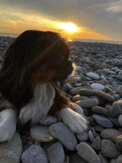 Gonio beach leisure - 1