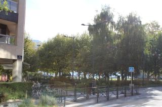 L'Emeraude du lac le calme au coeur d'Annecy - Annecy - 5