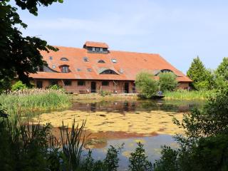 Apartment Im Heumond in Buschhagen - Buschenhagen - 2
