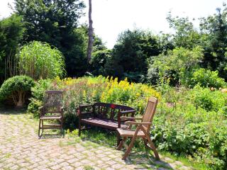 Apartment Parkblick with three rooms - Buschenhagen - 3