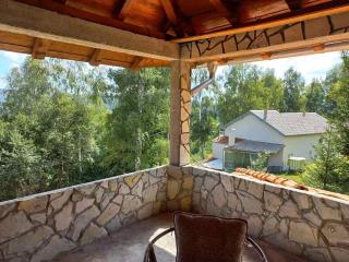 Zoja Apartman Vlasinsko Jezero - 6