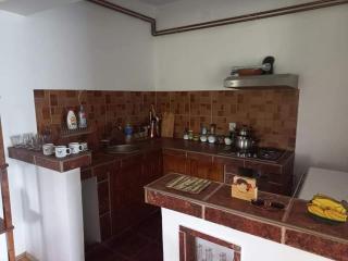 Zoja Apartman Vlasinsko Jezero - - 3