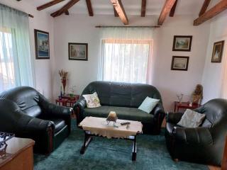 Zoja Apartman Vlasinsko Jezero - - 0