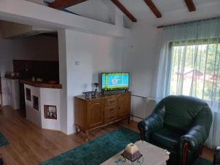 Zoja Apartman Vlasinsko Jezero - - 2