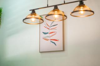 Bromelia Studio - Monteverde - 3