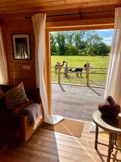 The Alpaca Cabin - 9
