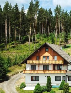Black Forest Holidays - Auerhahn - Schwarz Wald - 9
