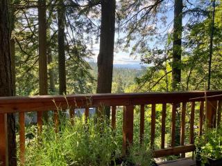 Forest Gallery- Mid-Century Modern With City Views - 3