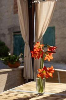 Apartments Belmat - Trogir - 1
