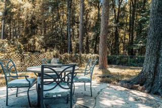 Gainesville Charm- Cozy, Comfortable, Convenient - Gainesville - 9