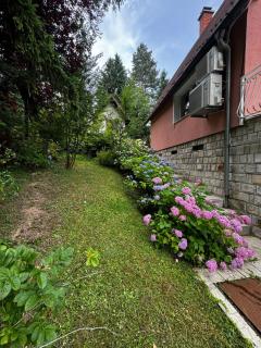 Villa Aida Sarajevo - Hadžići - 3