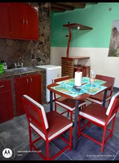 Flor de los Andes - 4