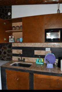 Flor de los Andes - 1