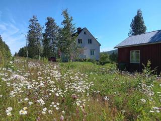 House in the middle of forests and lakes - - 0