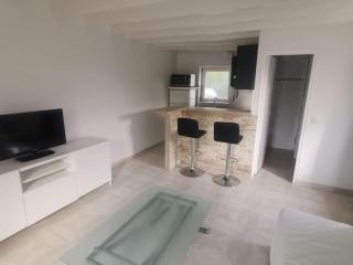 Appartement moderne - aeroport CDG Asterix Paris - - 0