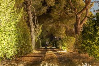 Villa Salento - Lecce - 3