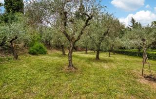 Il Loggiato - Monte San Savino - 3