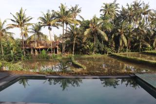Pondok Kembar Ubud - Tegalalang - 8