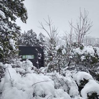 Lodge de montaña con incomparables vistas y rodeado de pinos - Chakana Lodge - 3