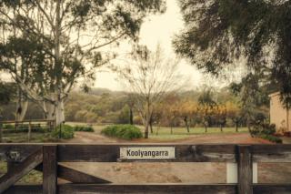 Koolyangarra Cottage Adelaide Hills - 6