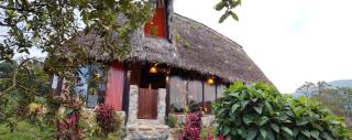 Finca de la Vaca - Family House - Mera - 9