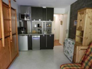 Studio 18m² à 50m des pistes avec balcon, 3 pers., animaux admis - FR-1-557A-57 - - 0