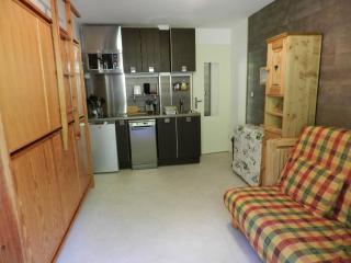 Studio 18m² à 50m des pistes avec balcon, 3 pers., animaux admis - FR-1-557A-57 - - 5